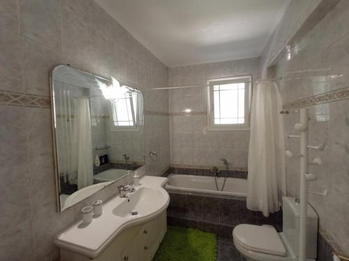 Flat with garden near sea, port and airport, Artemida (foto 4)