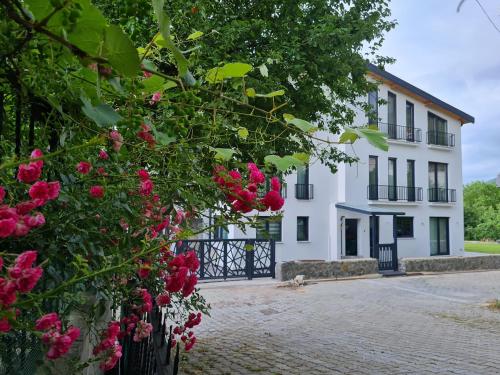 . KD Apartments