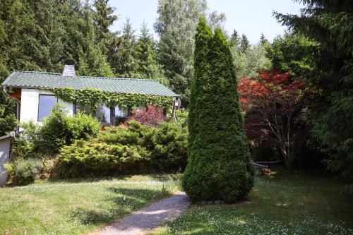 Idyllisches Ferienhaus am Wald - Möhrenbach