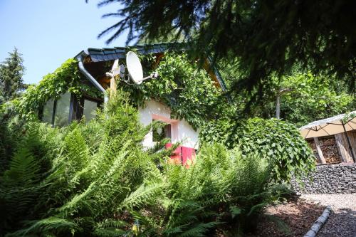 Idyllisches Ferienhaus am Wald