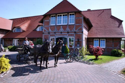 Flair Seehotel Zielow - image 13
