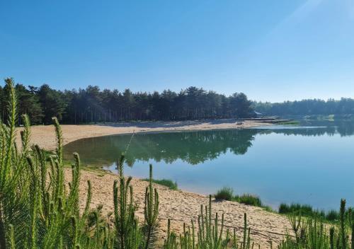 Luxe Tiny House op de Veluwe