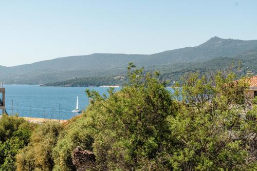 Hotel Hibiscus - image 12