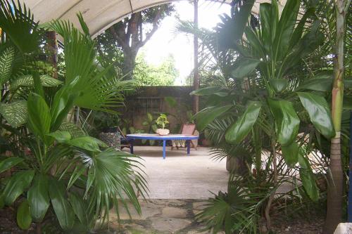 Posada El Jardin in Ticul