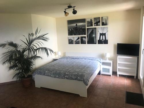 Studio der Alpen in Thun, Schweiz