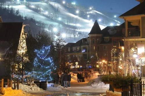 Slopeside Sanctuary - Ski In/Ski Out in The Blue Mountains (ON)