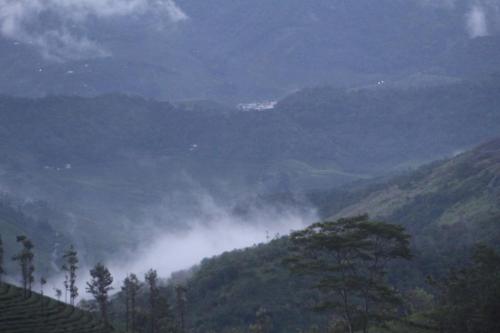 Pine Clough Holidays Vagamon