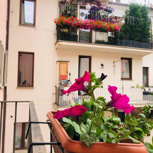 Casa Conte Rosso 5