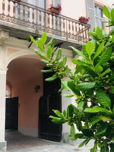 Casa Conte Rosso 2