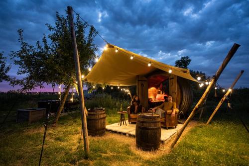  Slapen tussen de schapen in een Tiny Wineyhouse, Pension in Zennewijnen