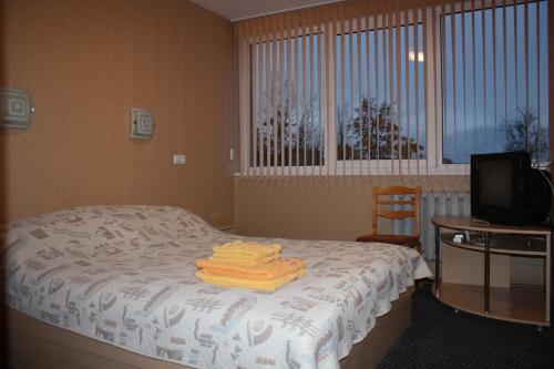 Balvi Hotel - image 13