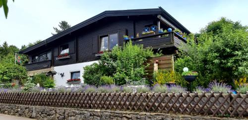 Haus Harzer Bergblick all inklusiv - Apartment - Bad Lauterberg