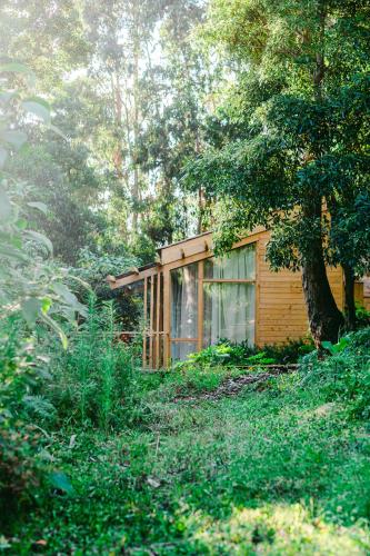 Cabanas da Viscondessa, Urzelina