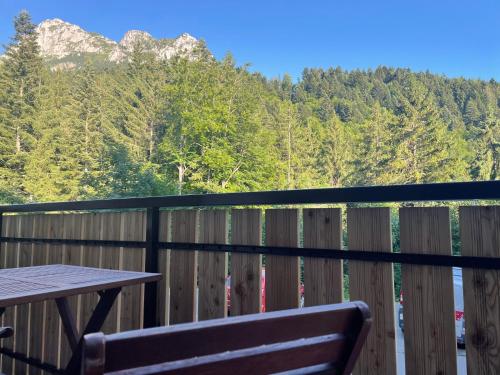 Duplex Dent d'Oche - Apartment - Bernex Dent d'Oche