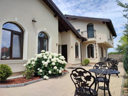Villa Boutique Alina · Deva