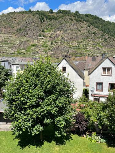 周邊環境, Ferienwohnung Dieblich an der Mosel in 迪布利希