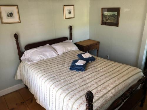 Seafarer Inn and Cottages – Old Orchard Beach, ME