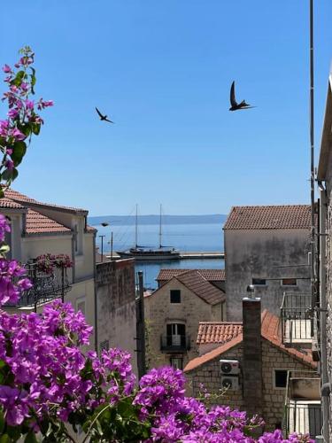  CENTER (THE HEART) OF MAKARSKA in Makarska