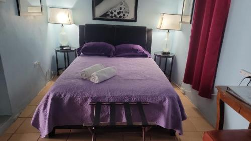 Luxury Compound near Beach sleeps up to 30 - image 2