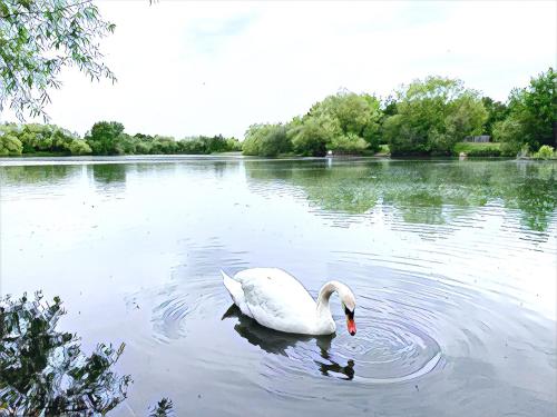 The Lake House, Woking