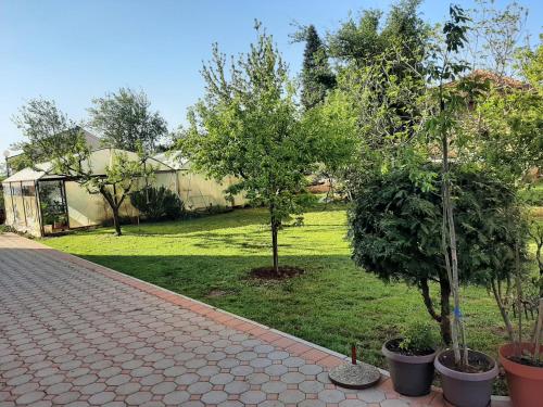 Anđela, Međugorje (foto 7)