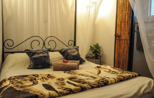 ZigZag Town Lodge