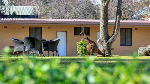 Hamilton Hume Motor Inn in Yass