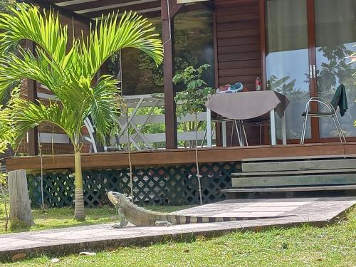 Facilities, Village Le Pre in Terre-de-Haut