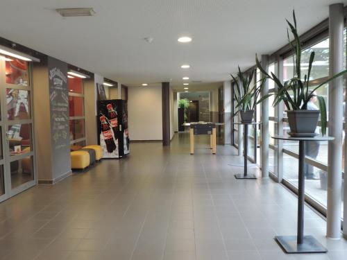 大堂, Blauwput Leuven旅舍 (Hostel Blauwput Leuven) in 勒文