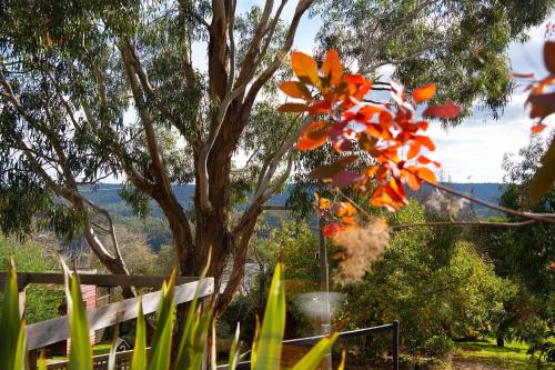 Cornish Hill House – Daylesford, FL