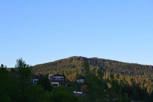 Chalet First Hill, Gura Humorului (foto 4)