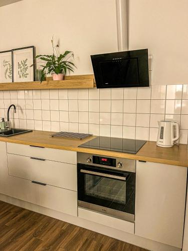Przytulny Apartament Mickiewicza 14/2