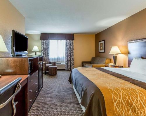 Quality Inn & Suites - image 11