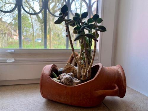 Ferienwohnung "Dunenblick" in Sankt Peter-Ording City Center