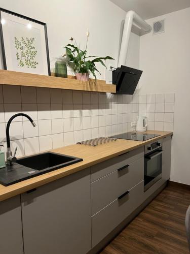 Przytulny Apartament Mickiewicza 14/2