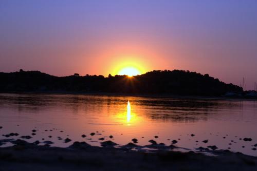 Livari Studios Livari Studios