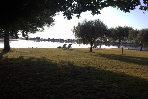 Livari Studios Livari Studios