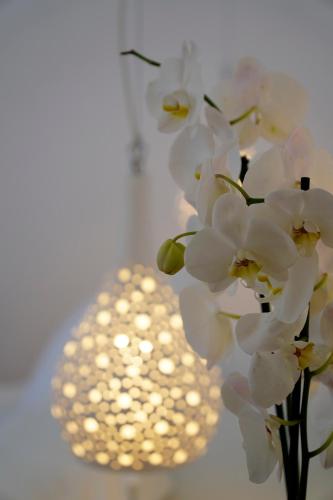 Margie Mykonos Hotel - image 4
