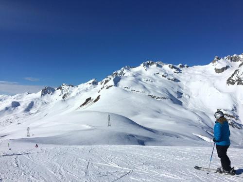 Chalet de 4 chambres avec jardin et wifi a La Lechere a 1 km des pistes