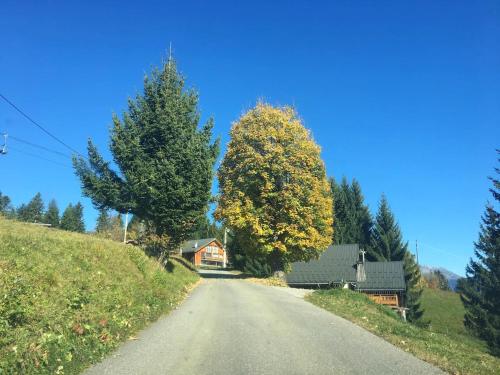 Chalet de 4 chambres avec jardin et wifi a La Lechere a 1 km des pistes