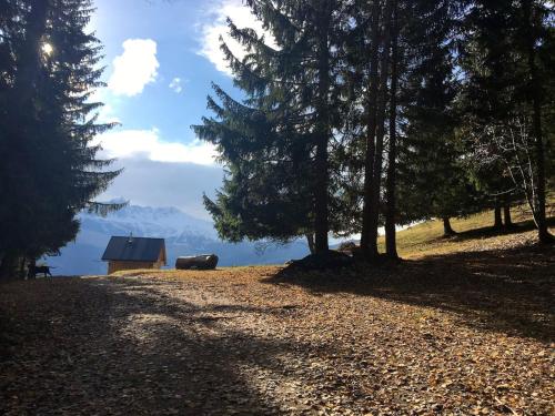 Chalet de 4 chambres avec jardin et wifi a La Lechere a 1 km des pistes