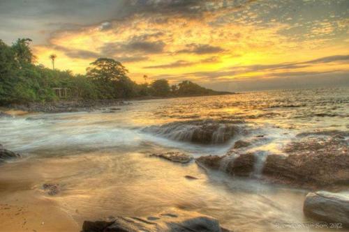 Daltons Banana Guesthouse in Freetown