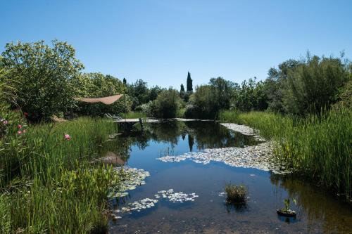 Altanure Casa Terra - Ecological Boutique Stay 5