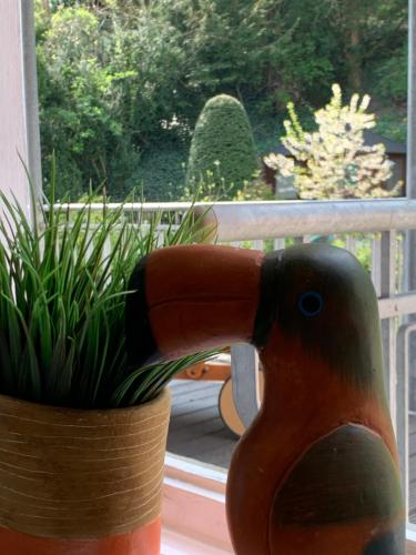 Remedium Appartements