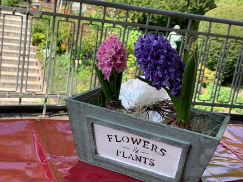 Remedium Appartements