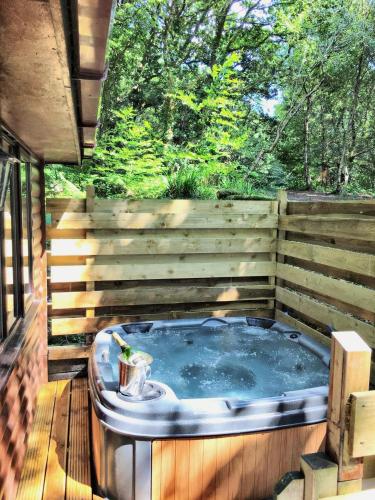 B&B Carmarthen - Wren 21-Hot Tub-Woodland Lodges-Tenby-Camarthenshire - Bed and Breakfast Carmarthen