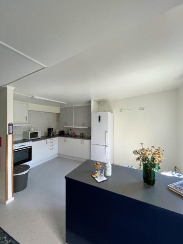 Cocina, Trosa Vandrarhem in Trosa