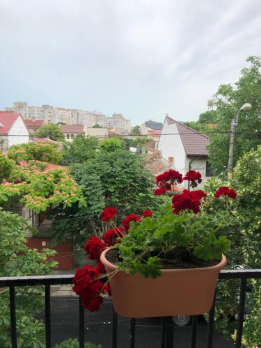 ทัศนียภาพ, Vila Black Sea in ฟาเลซาเหนือ