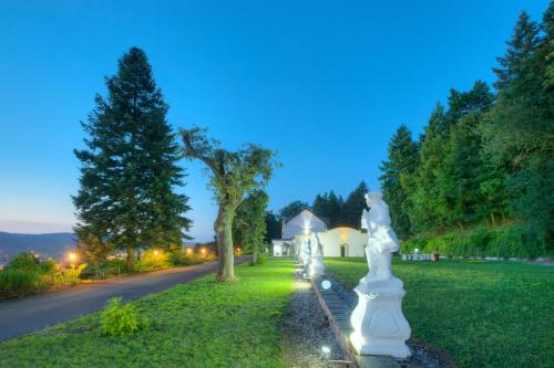Vintage Hotel Petrisberg 5