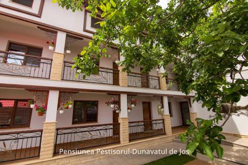 Pensiunea Pestisorul - image 2